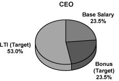 CEO PIE CHART